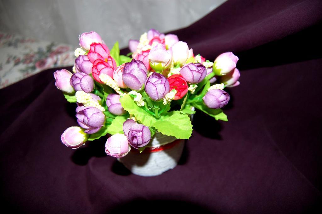 Apartment,326401363:JPEG