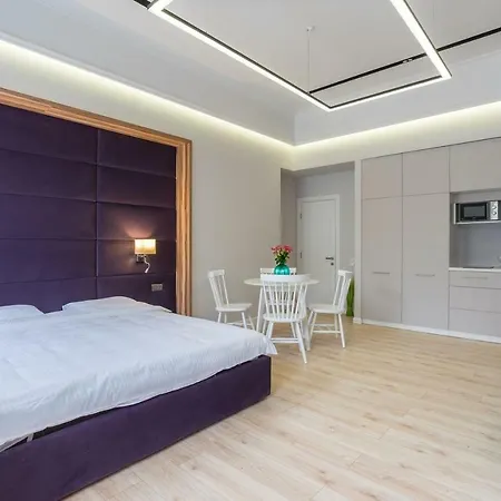 Spacious Apartments In Central Kyiv - Walk Everywhere - Next To Hyatt-3
